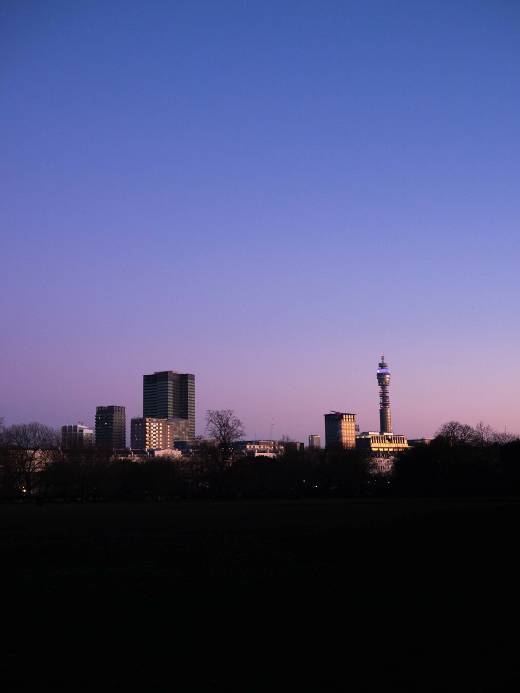 Photo with a blacked out foreground spreading up to bare trees in the distance, silhouetted against tall golden-hour buildings, varying in height and aspect and colour. One of these is the BT Tower, cylindrical for the most part but partly just a pole intersected by discs. The canister-like section at the top is wrapped with a screen, glowing purple, mimicking the sky beyond that fades up from pink through violet to indigo.