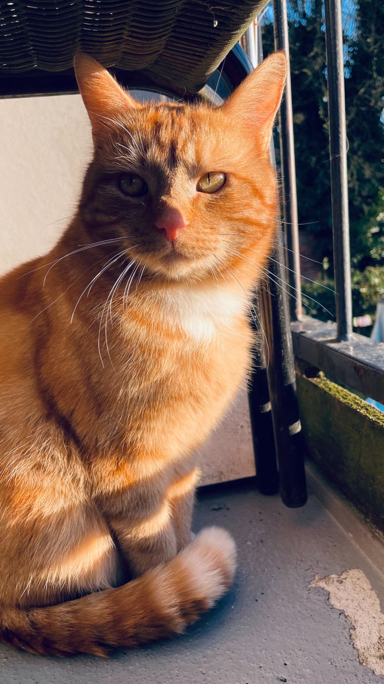 Looking at the camera