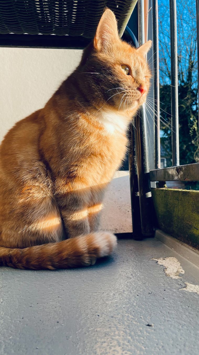 George on the balcony