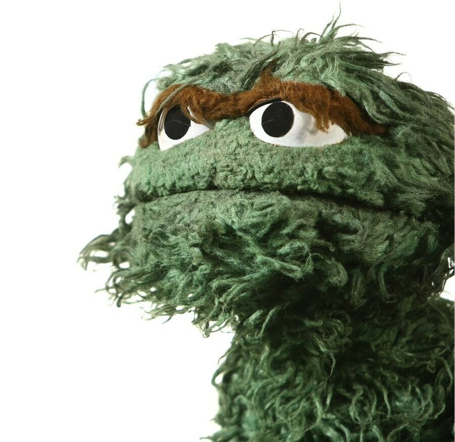 Oscar T Grouch. He's a matted furry green garbage-dwelling alien muppet with a brown unibrow and a vast sea of unknowable ennui in his eyes.