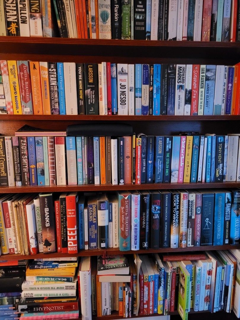 Bunch a books. It's a pretty eclectic range. Kids books, ancient Greek, psychology text books, contemporary pop books, spy thrillers, horror, the usual. Pleasing to the eye. A chaotic filing system with all sorts of colours.