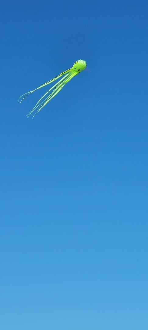 Luminous green octopus kite flies in an impossibly clear blue sky