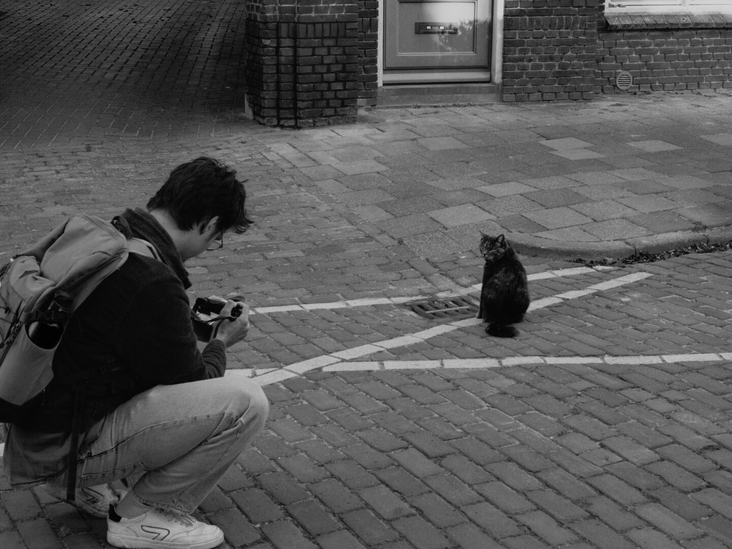 my friend taking a picture of a cat in black & white