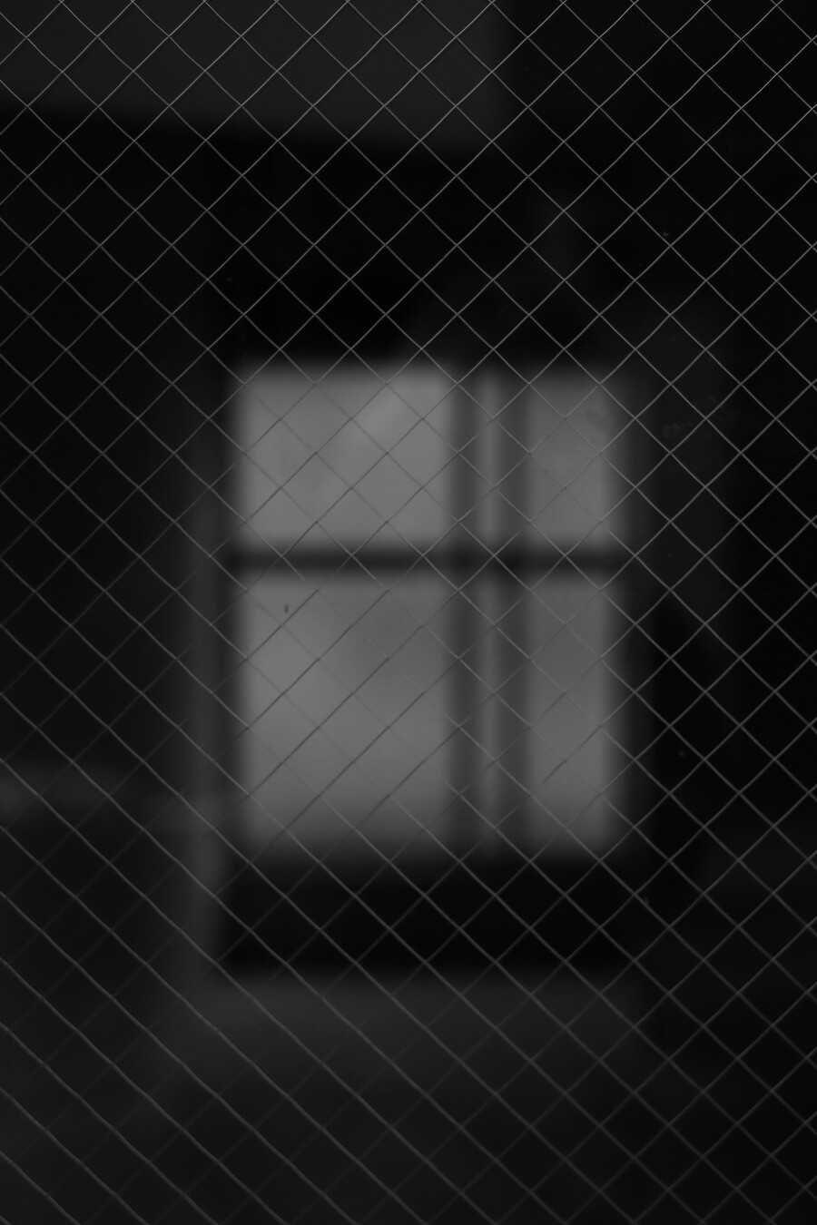 Black and white photo. A glass window with mesh. Beyond it, another window with a cross-shaped lattice can be seen blurry.