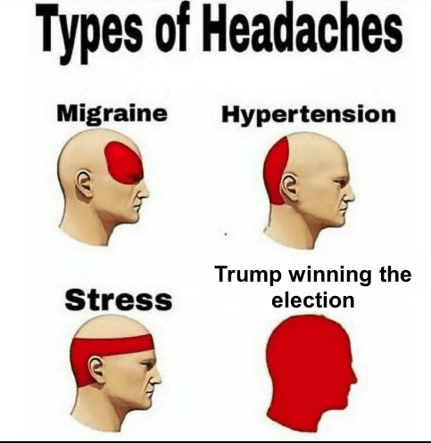 types of headaches meme template with Trump winning the election as a full head headache