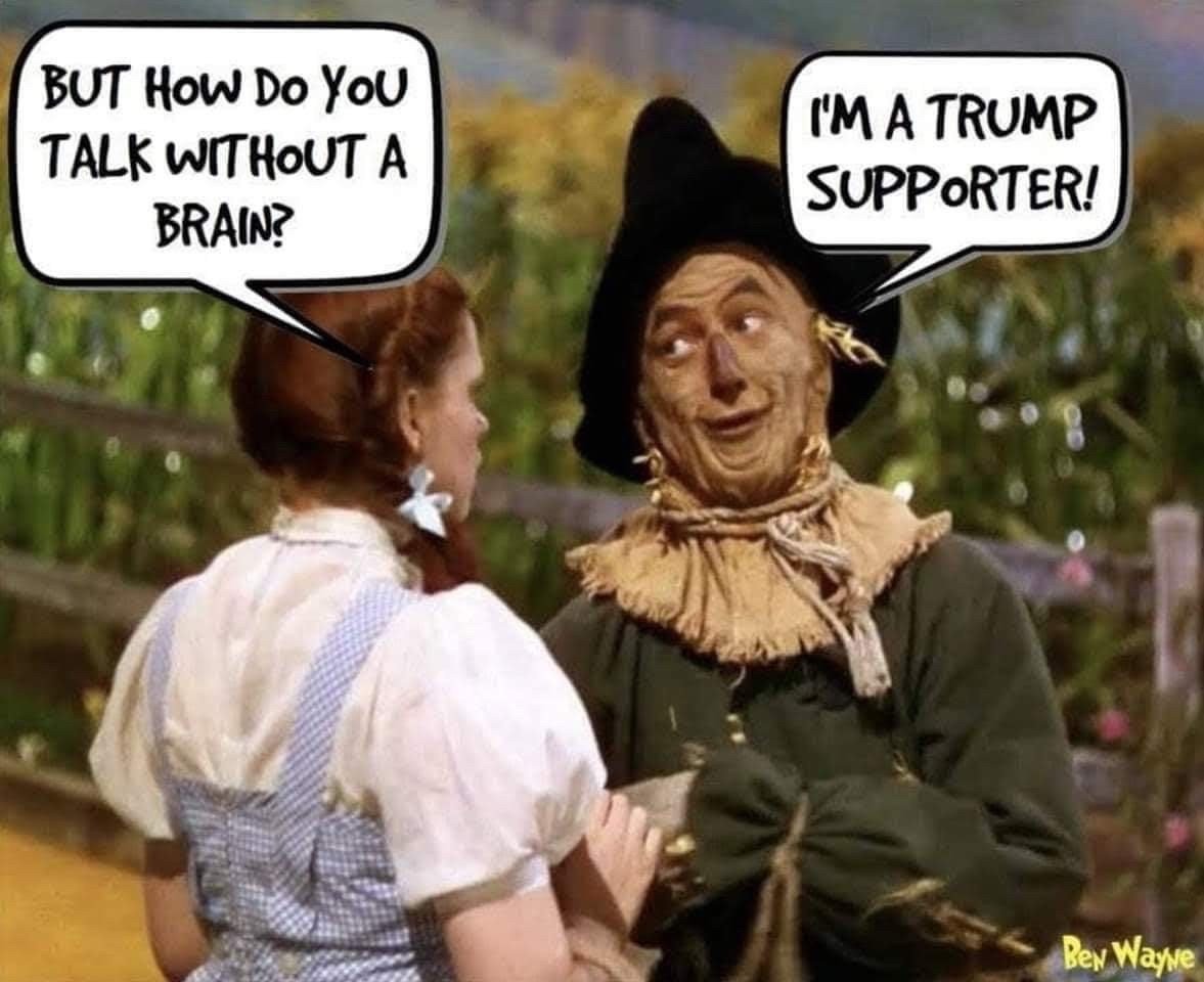 But how do you talk without a brain?
I'm a Trump supporter!