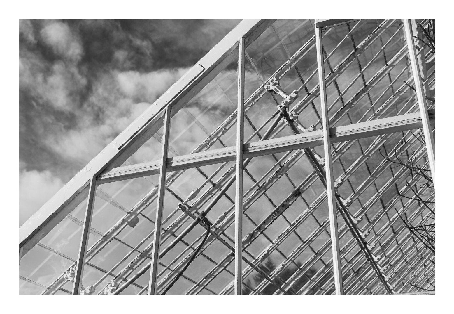 A black and white photograph of the side of a Victorian glasshouse against a cloudy sky.