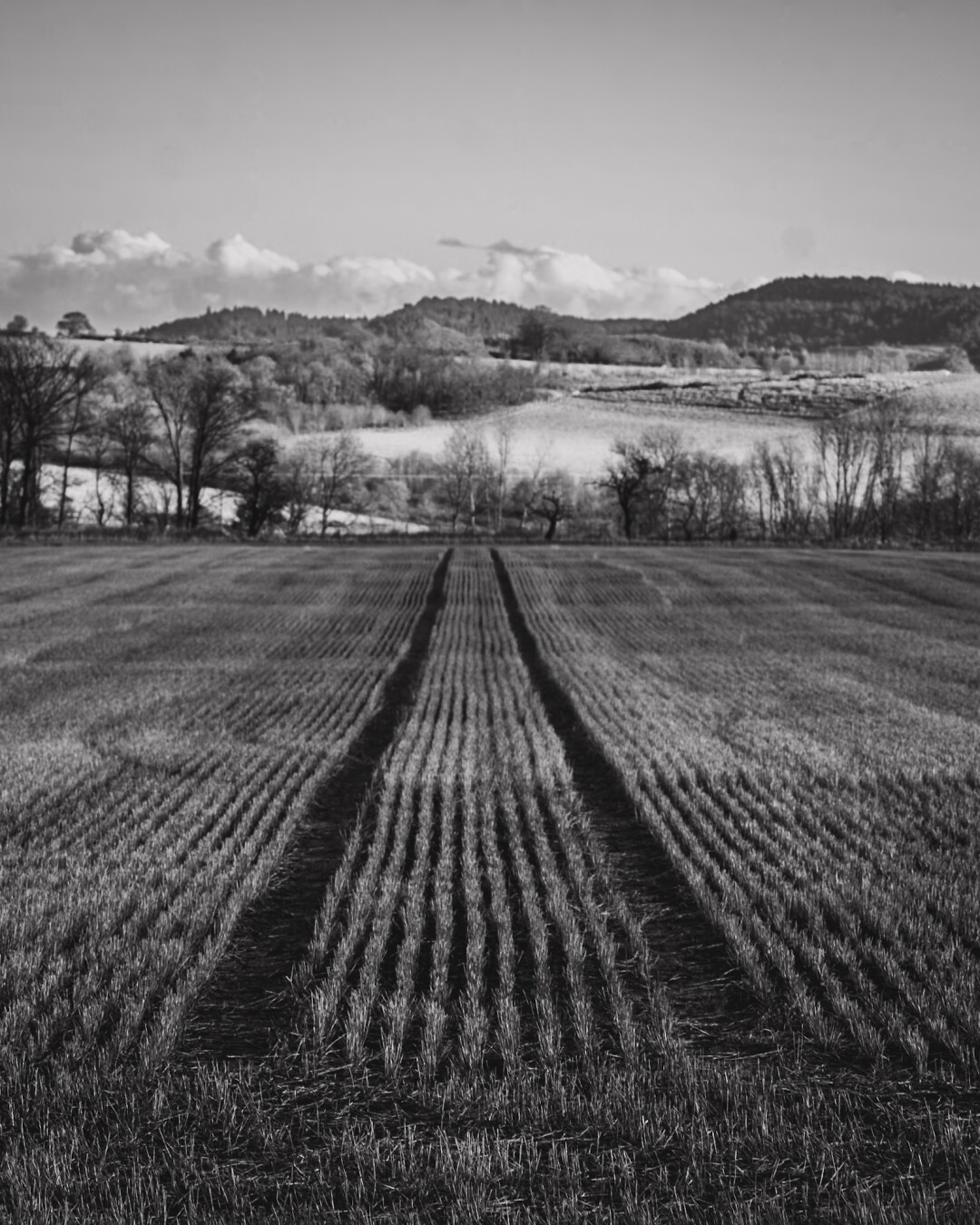 A black and white photograph of a field with tractor tracks leading off down the field. In the distance are trees and low hills.