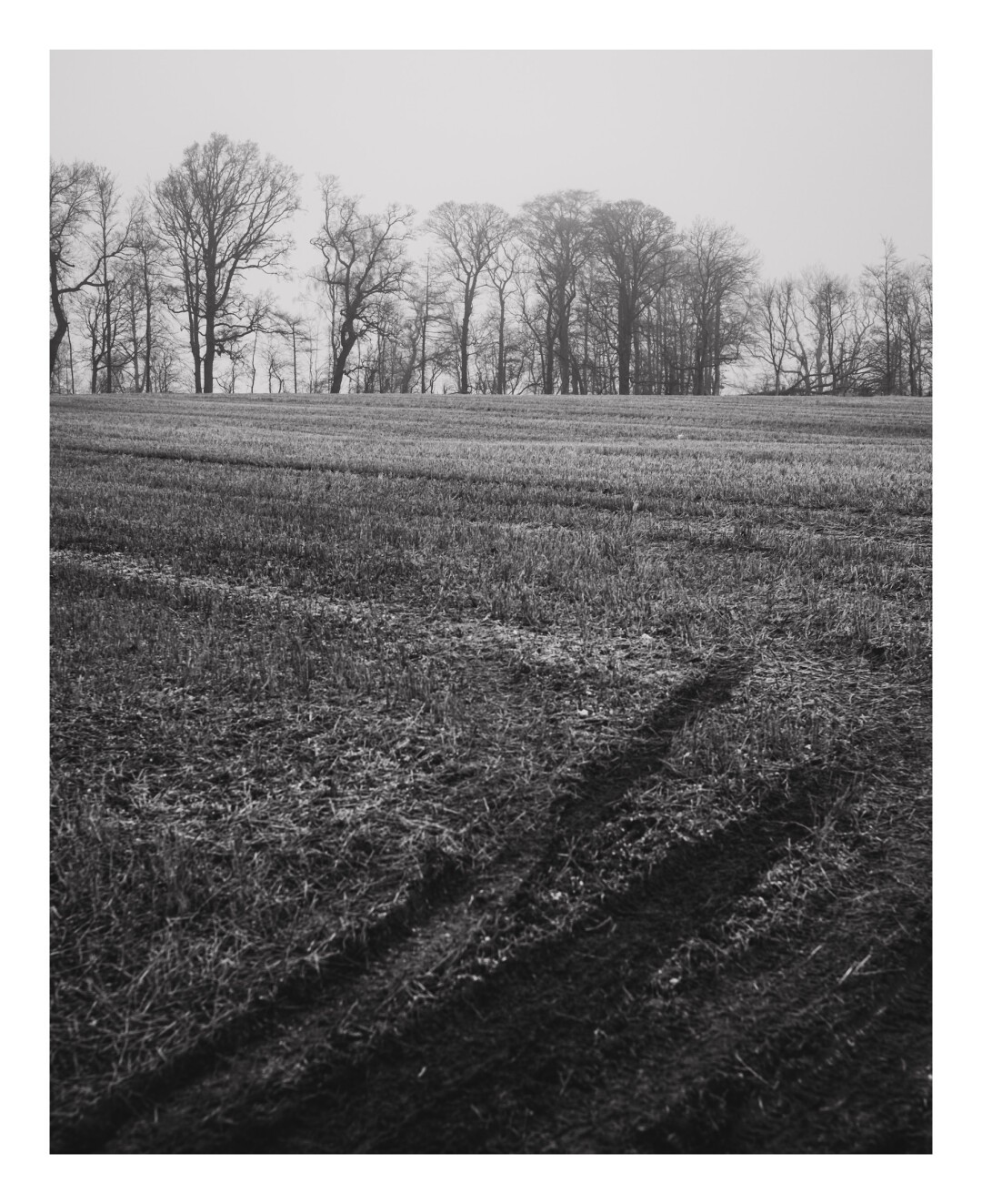 A black and white photograph of a ploughed field with quad tracks across the field. First to the right then to the left and on the horizon stand bare winter trees.