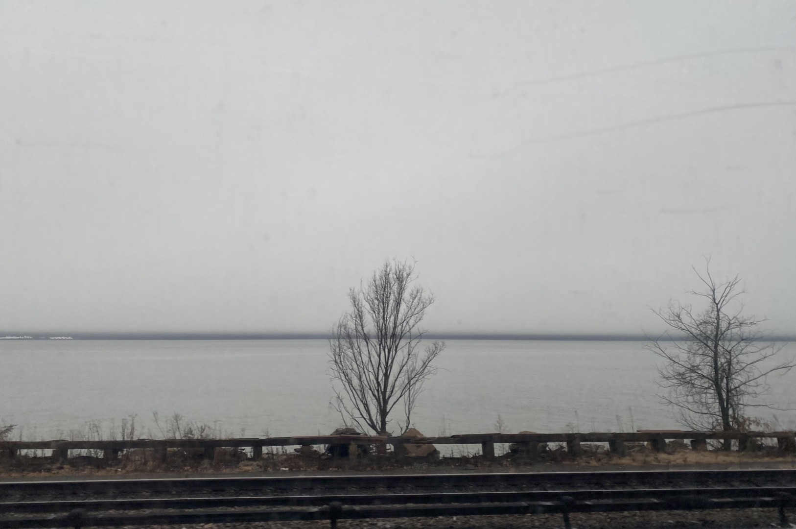 Leafless winter tree, not large, with Hudson River behind, and horizon cutting through behind, far hills invisible because of fog. Color, but a gray day.