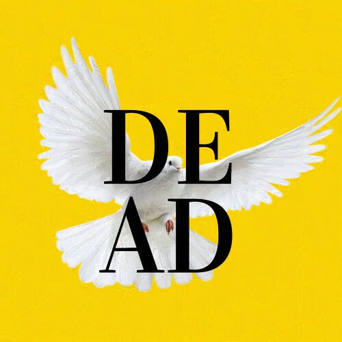 Square canvas dimensions: bright yellow background and a dove with black text 