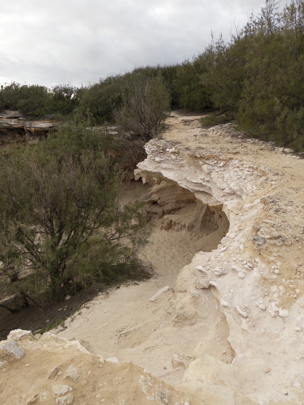 A narrow trail going over a cavern on the edge of the beach.