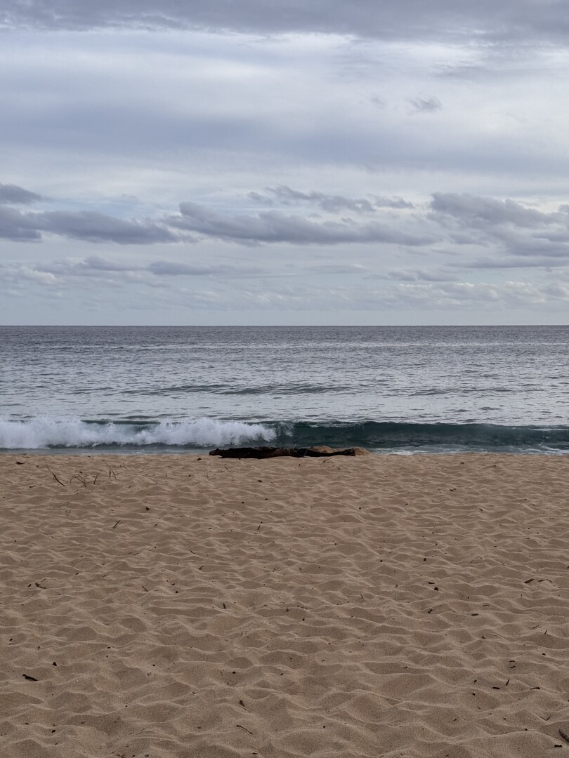 A shot of a beach. The upper 40% of the photo is a cloudy sky and the lower 40% is a sandy beach. 

The two are separated by a curling wave and a piece of drift wood set right in the middle of the frame.