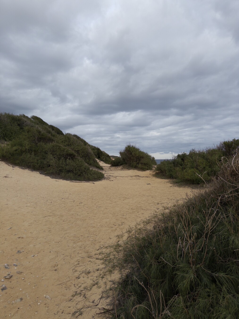 A sandy beach winding through scrubby brush under an overcast sky.