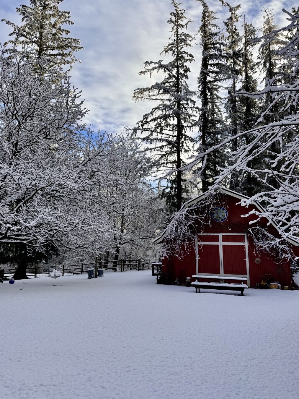 A small red barn sitting with its door closed in a large open yard covered in an undisturbed blanket of a couple inches of snow. It’s surrounded by leafless deciduous trees with icy branches and large evergreens that reach up to the clouds with just a hint of blue sky.