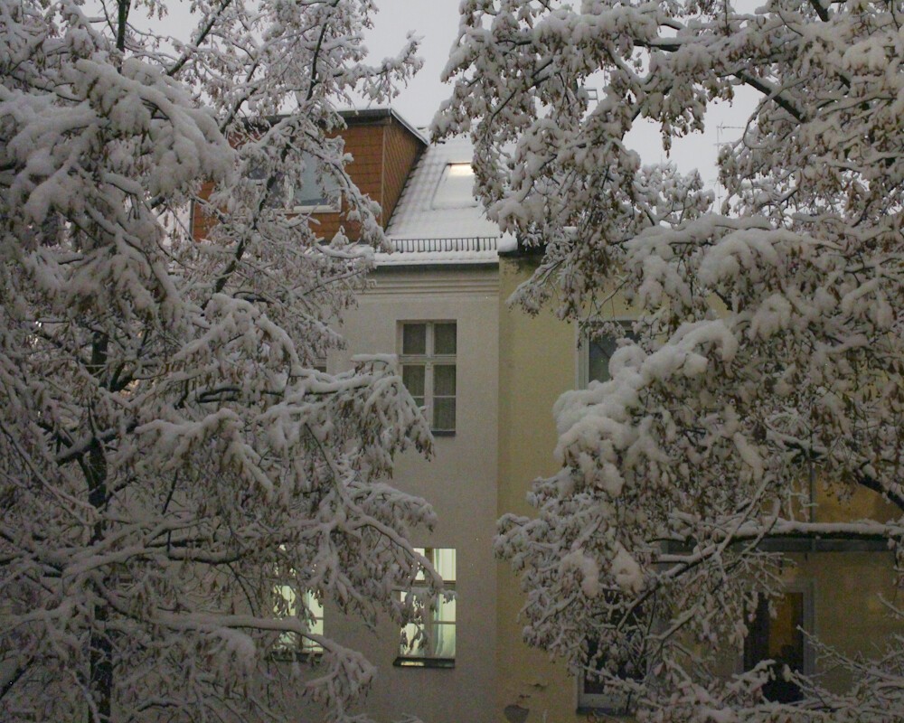 A building with light in some windows behind two dark trees with lot of snow on their branches.