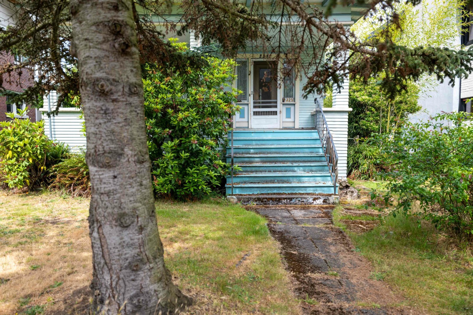 The image depicts the front of a house with a welcoming, albeit aged, appearance. The house features a set of steps leading up to the front porch, which are painted in a faded blue color. The steps are flanked by a metal railing on both sides, providing support for anyone ascending or descending. The house itself has a light blue exterior with white trim around the windows and doors.

The front yard is overgrown with various types of greenery. There is an out-of-focus tree with a thick trunk and sprawling branches on the left side of the image, partially obscuring the view of the house. The lawn appears to be in need of care, with patches of brown grass interspersed among the green. A stone or concrete path leads from the yard up to the steps, providing a clear route to the entrance.

Surrounding the house are various bushes and plants, some of which are in full bloom, adding splashes of color to the scene. The overall atmosphere is one of a well-loved but somewhat neglected home, with a sense of history and character.