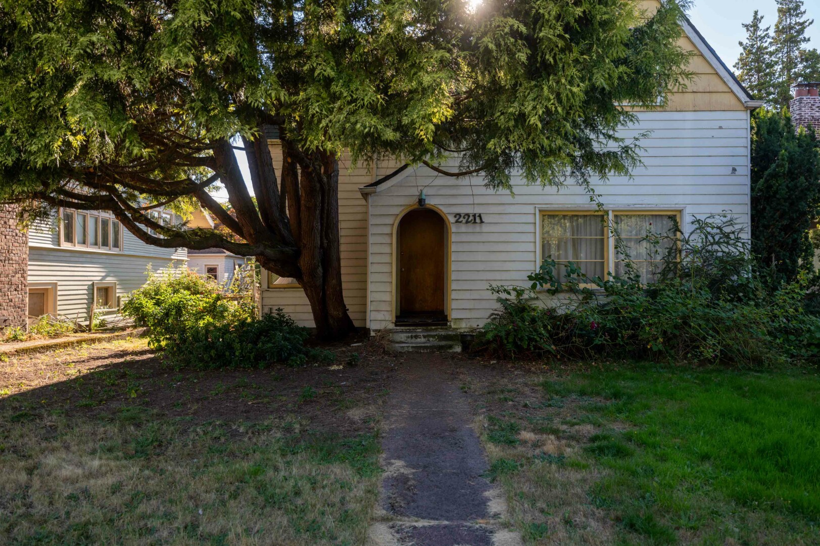 The image depicts a quaint, single-story house with a rustic appearance. The house is primarily constructed of white-painted wood. The front door, which is arched and a warm brown, is the focal point of the house. Above the door, the number "221" is prominently displayed, suggesting the house's address. The windows on either side of the door are framed in a light yellow, matching the color of the shingles on the gable.
The house is partially obscured by a large, leafy tree that stands in front of it. The tree's branches extend outward, creating a natural canopy that casts dappled shadows on the house and the ground below. The ground in front of the house is a mix of grass and a dirt path that leads up to the door, inviting visitors to approach.
The lighting in the image is soft and natural, suggesting that the photo was taken during the day, likely in the late afternoon. The sun is visible through the leaves of the tree, casting a warm, golden glow that illuminates the house and the surrounding area. The composition of the photo is well-balanced, with the tree and the house occupying the central space, and the path leading the viewer's eye directly to the front door.