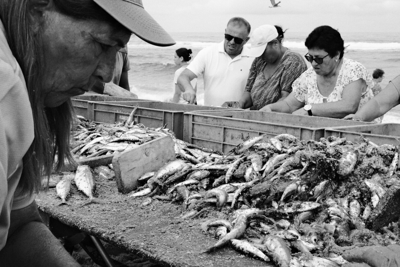 BW picture of a wooden table, filled with fish, and a few people sorting it. On the left the picture is framed by the face of a women.