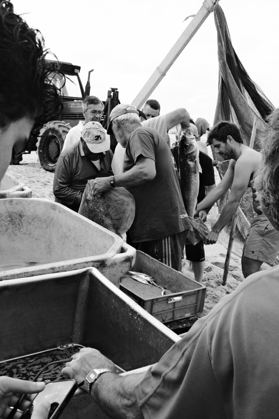 BW picture of two fishermen selling and bagging some big fish. They are framed by some tourists that are curiously watching.