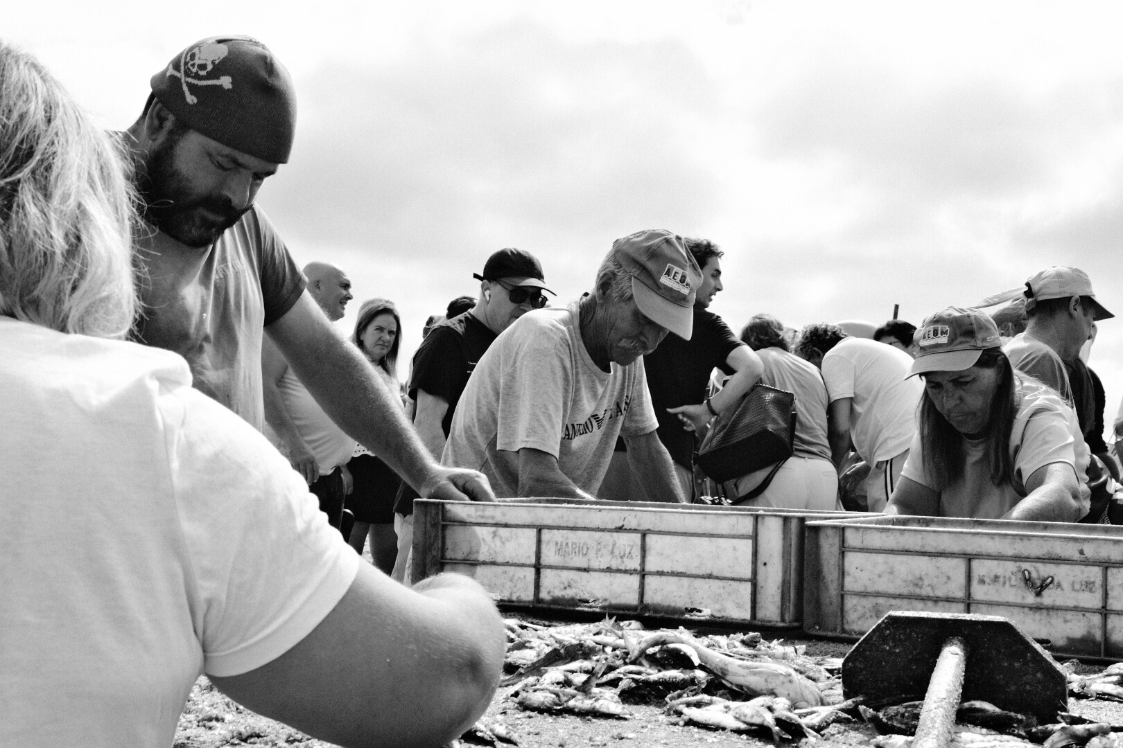 BW picture of two people sorting fish. The fishermen on the left is wearing a beanie with a pirate logo .