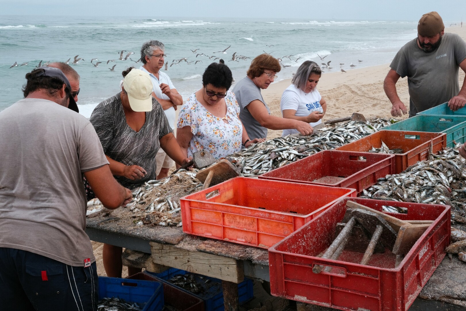 Picture of a number of fishermen and women, standing around a wooden table and sorting fish into colored trays. In the background a tourist watching them.