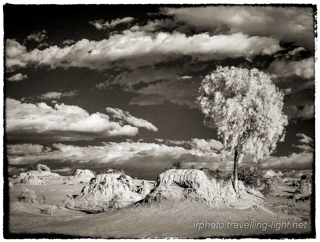 A toned black and white infrared photo of a desert landscape of small eroded buttes with a single eucalyptus tree, and dramatic clouds against a black sky.