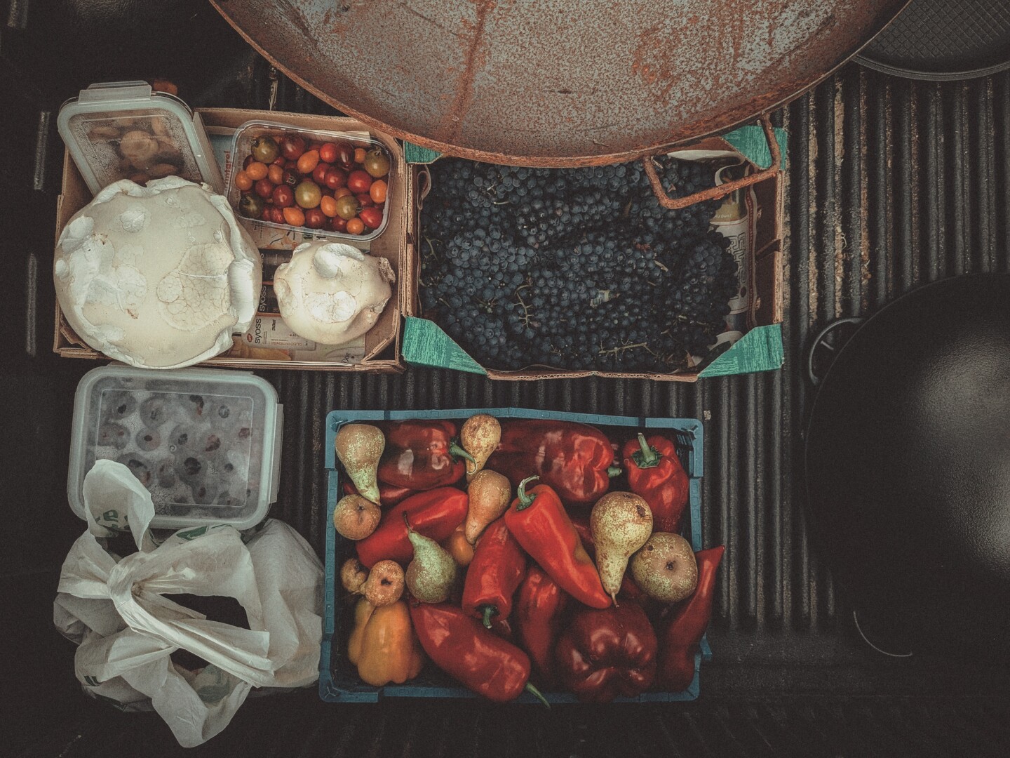 A top view of a pickup truck bed filled with a mix of late-summer items such as tomatoes, mushrooms (giant puffballs), peppers, pears, plums, grapes, a fire pit and a cast-iron pot.