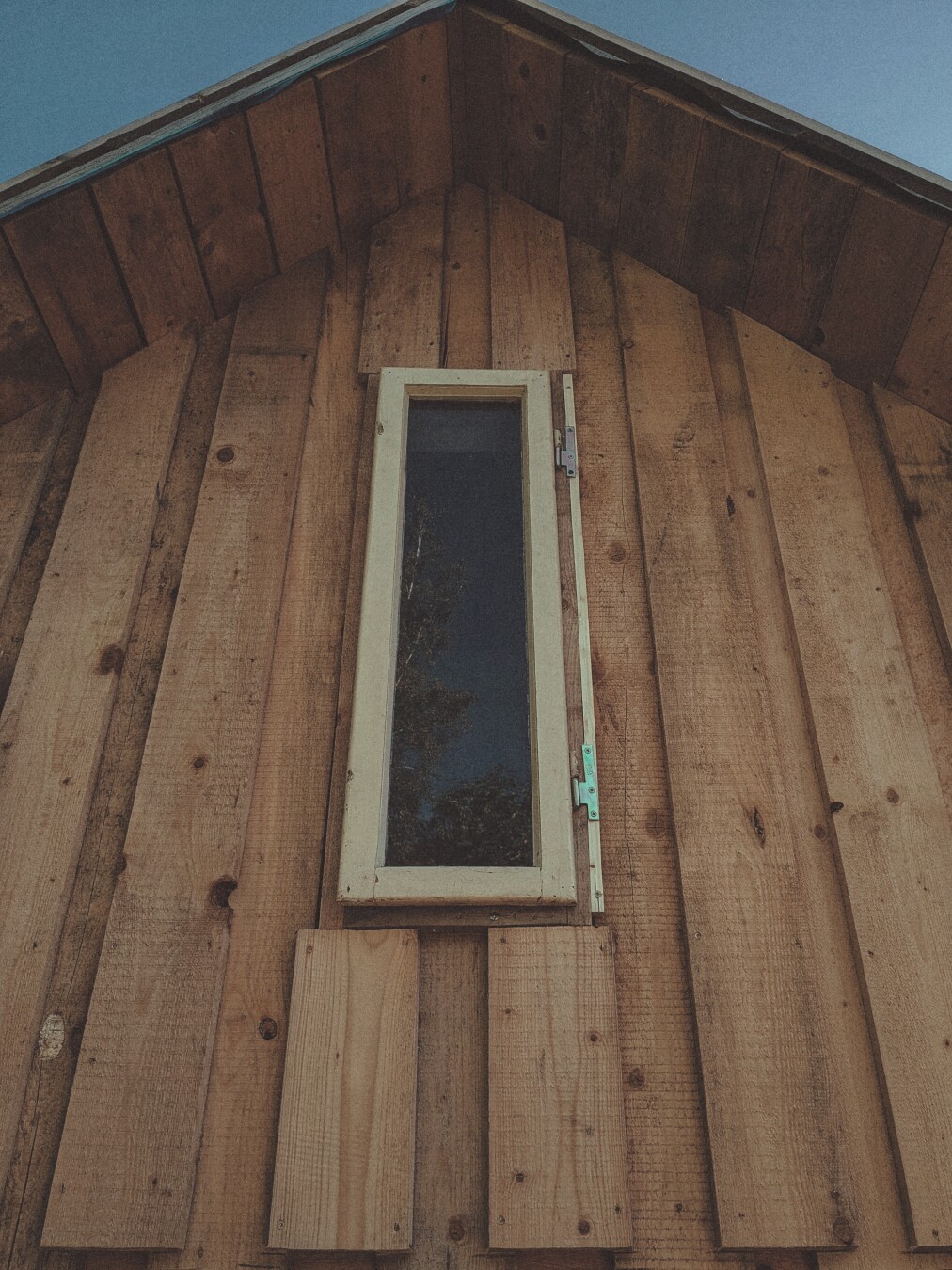 Reused window of a wooden toolshed, reflecting some trees and blue sky.