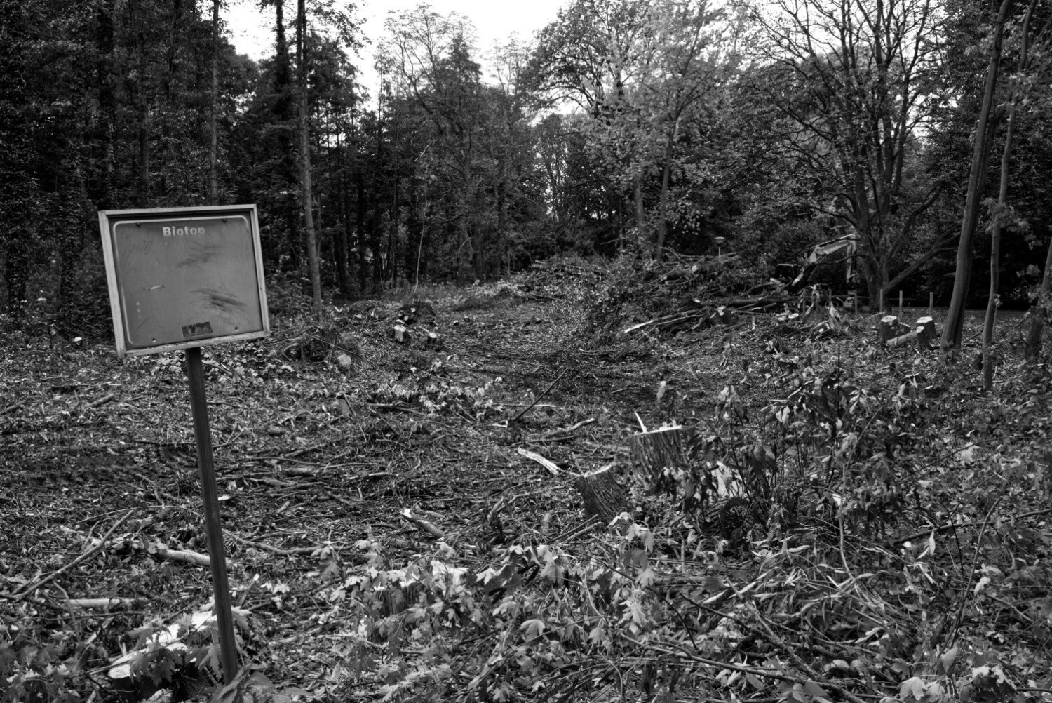 Schwarzweißes Foto im Querformat. Blick auf eine Lichtung, die offensichtlich erst vor kurzem kahl geschlagen wurde. Man sieht Baumstümpfe aus dem Wirrwarr der am Boden liegenden Zweige herausragen. Links im Vordergrund steht ein Schild, dessen Aufschrift überwiegend verblasst ist. Nur in der obersten Zeile kann man noch ein Wort lesen: Biotop.