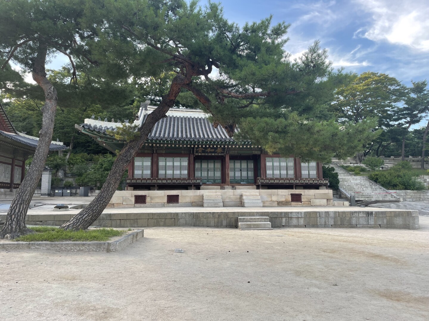 A smaller wooden building on the palace grounds. An old pine tree partially obstructs the view of the roof.