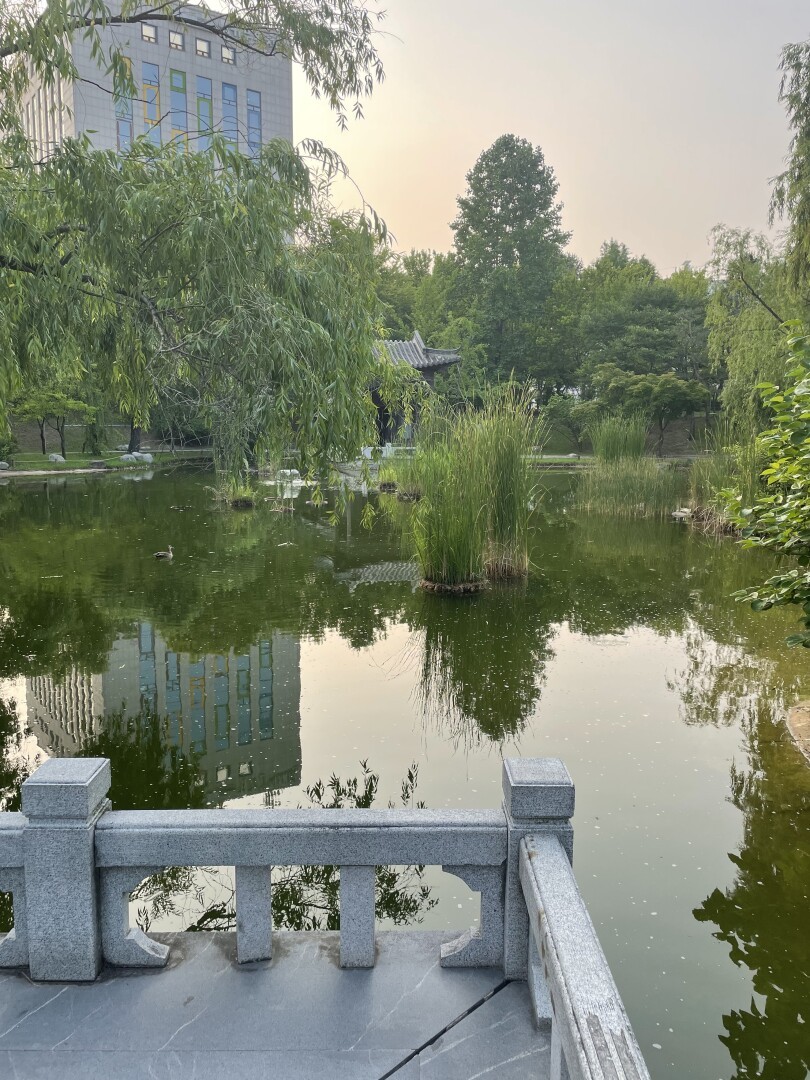 Picture of a pond within the garden.