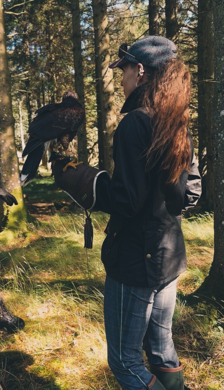 #halk #falconry #scotland #outdoors #outdoorsmanship #british #countryside #sports #hunting #birdsofprey