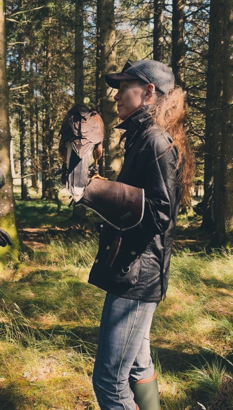 #halk #falconry #scotland #outdoors #outdoorsmanship #british #countryside #sports #hunting #birdsofprey