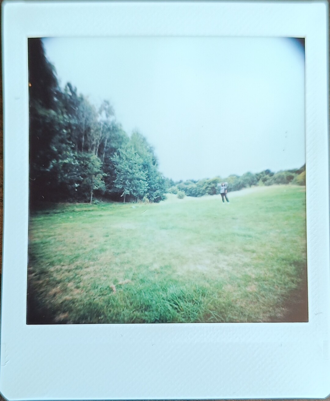 photo of a park with very bright sky and trees on the left side