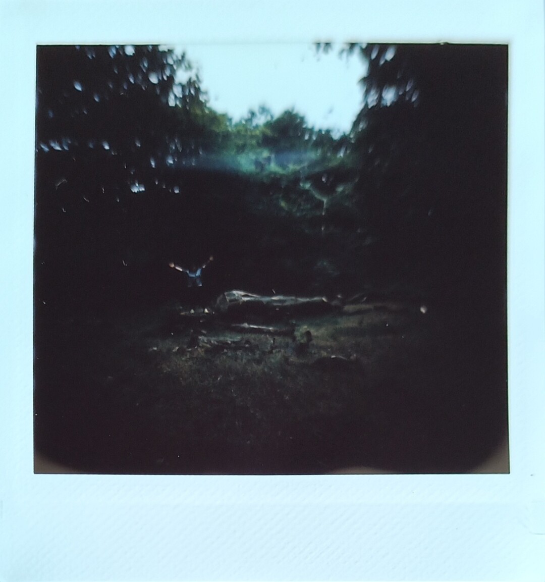 Very dark photo of a big tree that fell off long ago surrounded by more trees. A person is saying hello to the camera from the dark.