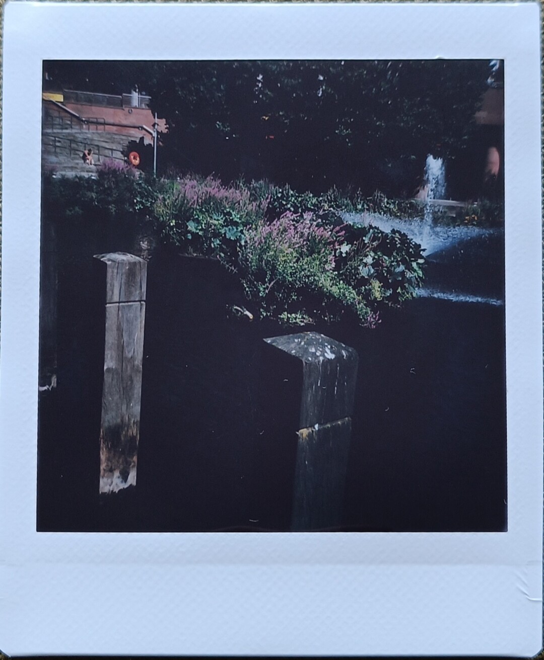 dark picture of small lake with fountain and flowers