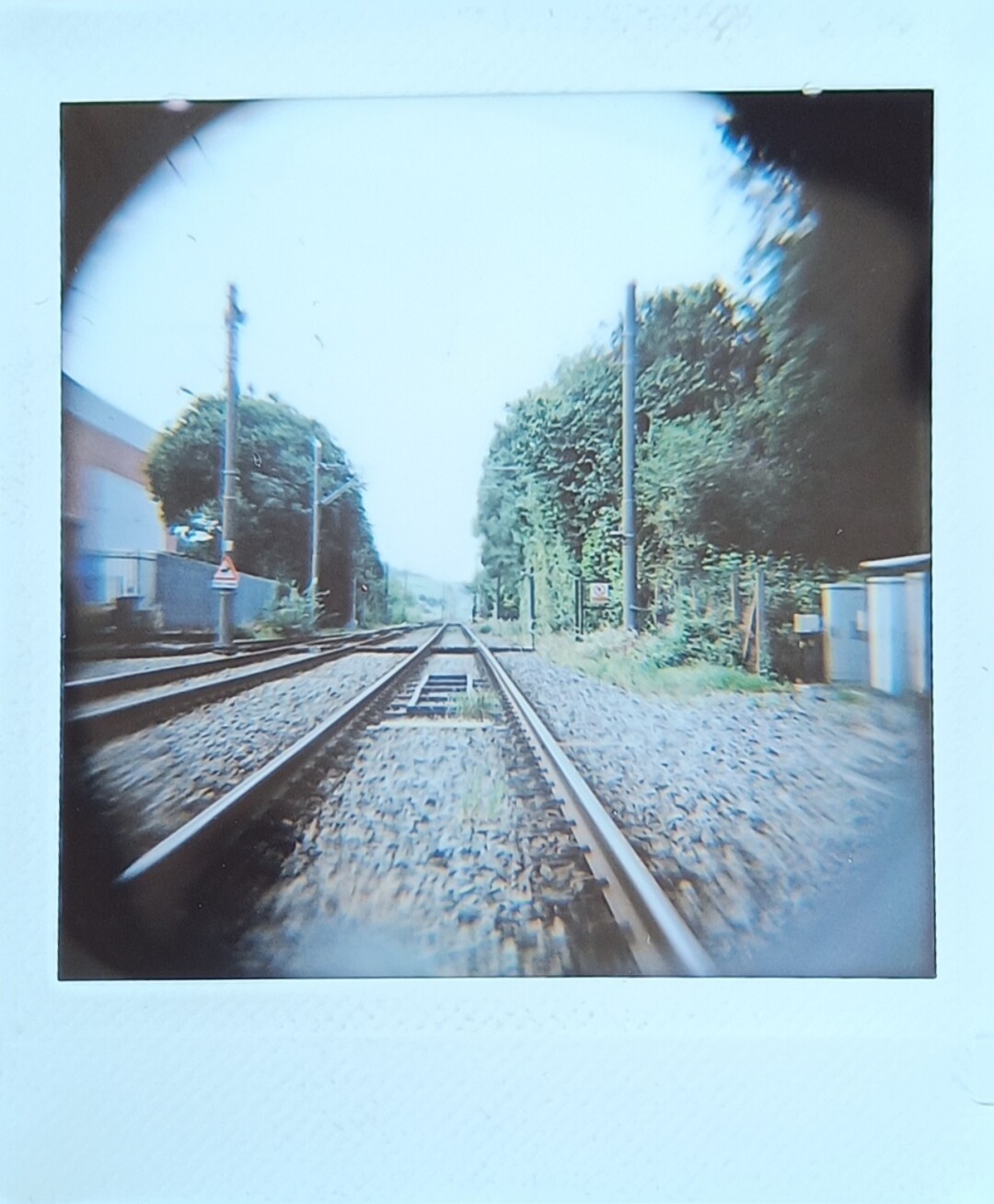 railway tracks with some trees