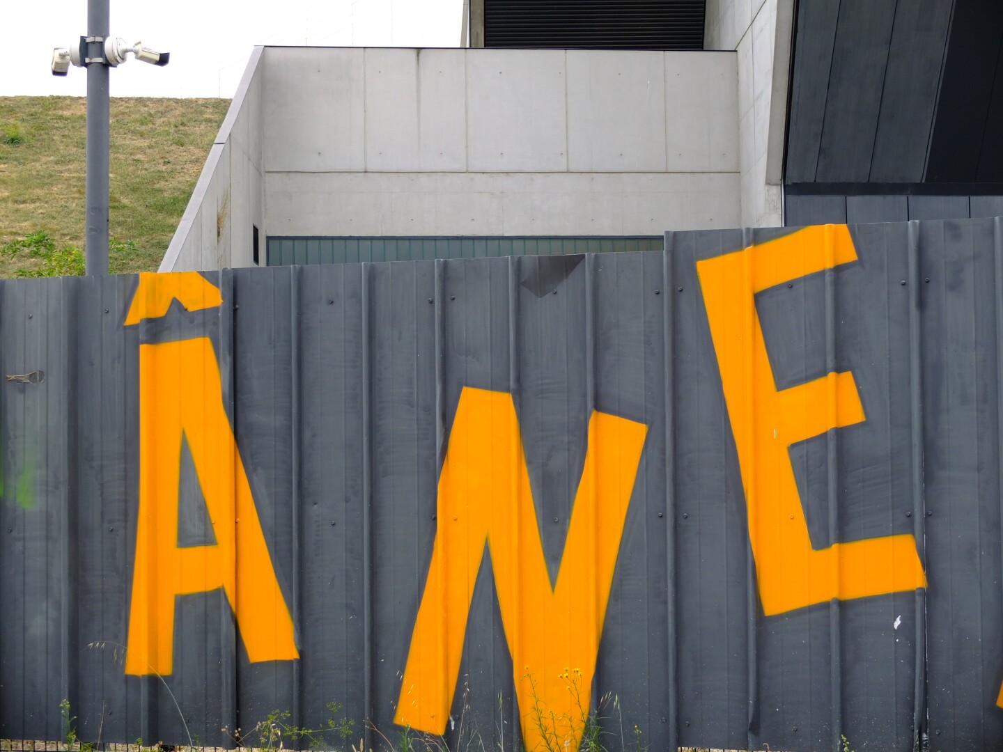 "Âne" (meaning donkey in french) written in big orange letters on a grey wall. Behind the wall there is a surveillance camera and buildings.