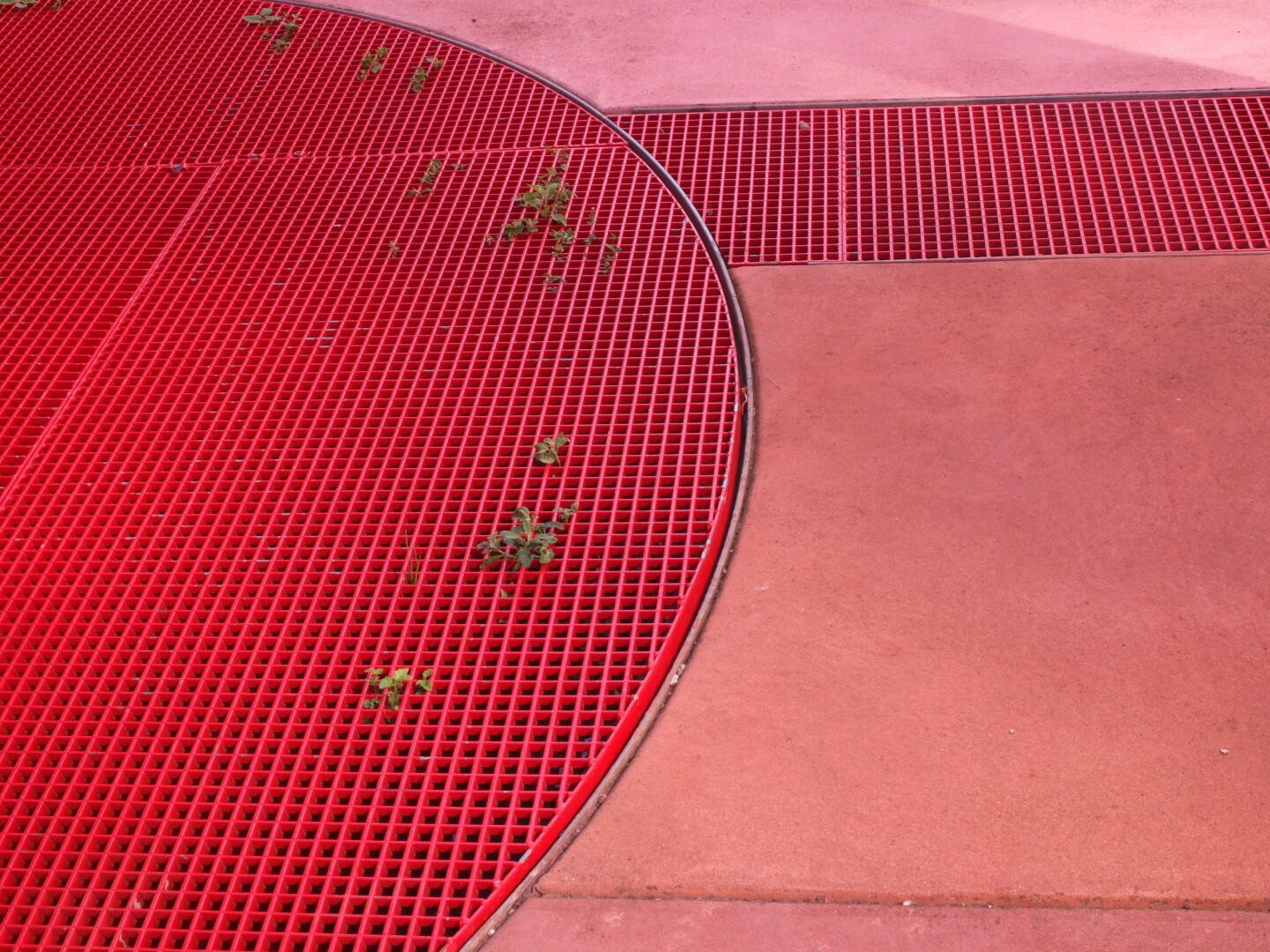 Close-up of a red metal grid on the ground with small green plants growing through, next to smooth reddish pavement