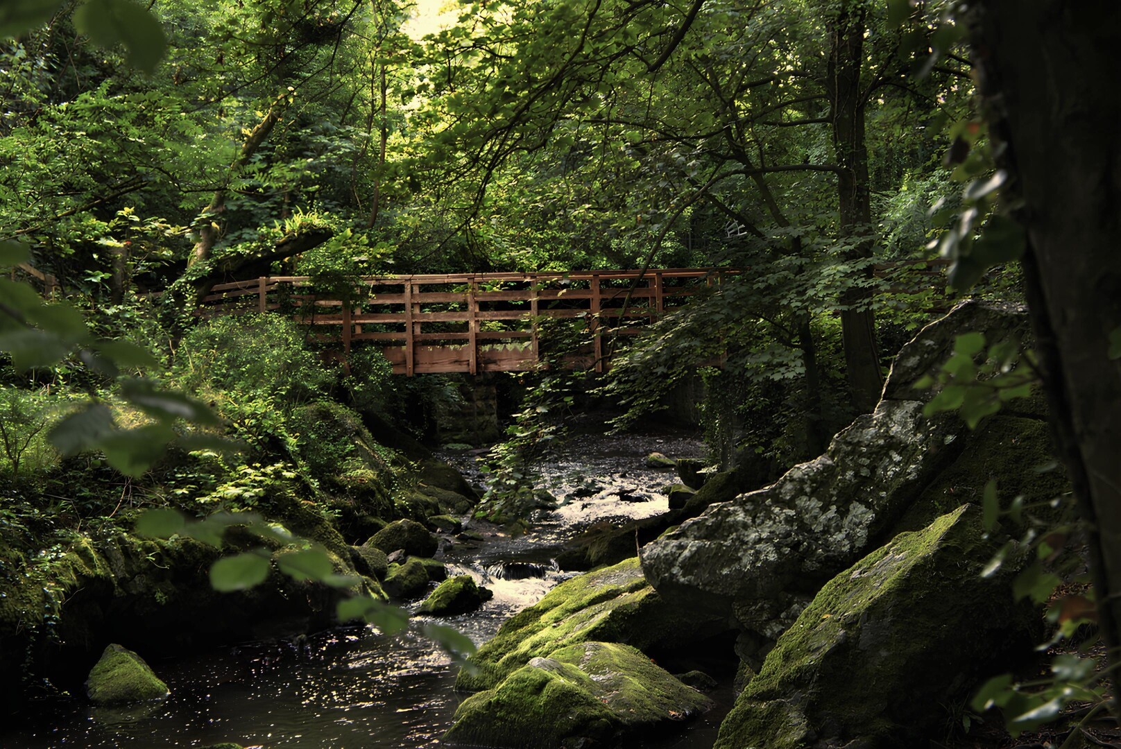 Wooden bridge in wales