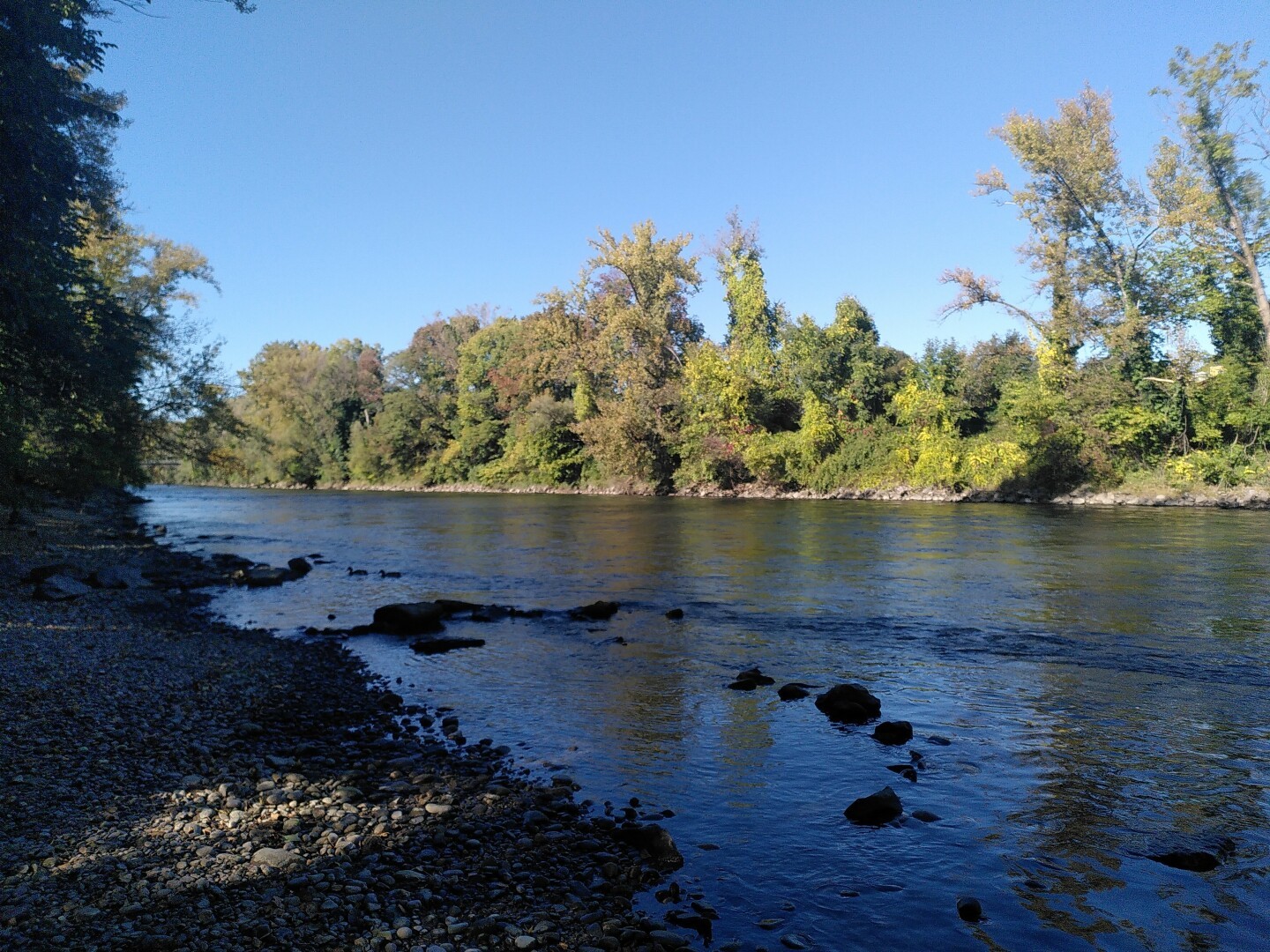Pebbles, river, trees