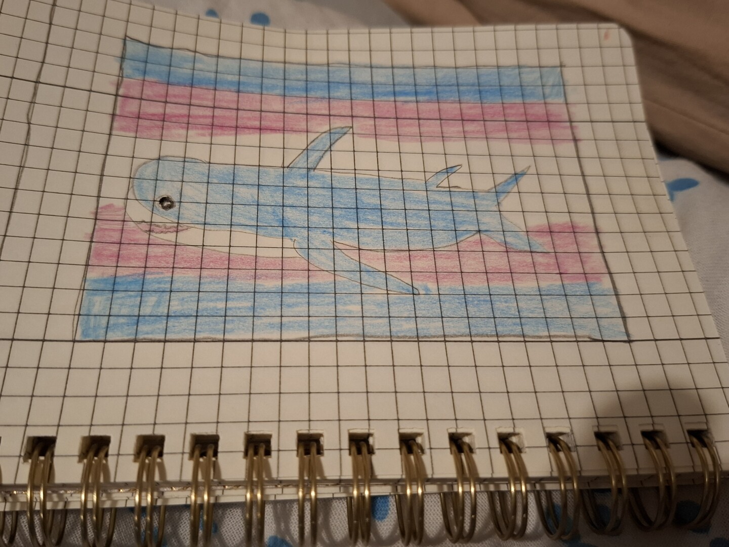 Drawing of a blåhaj with a transgender flag on the background