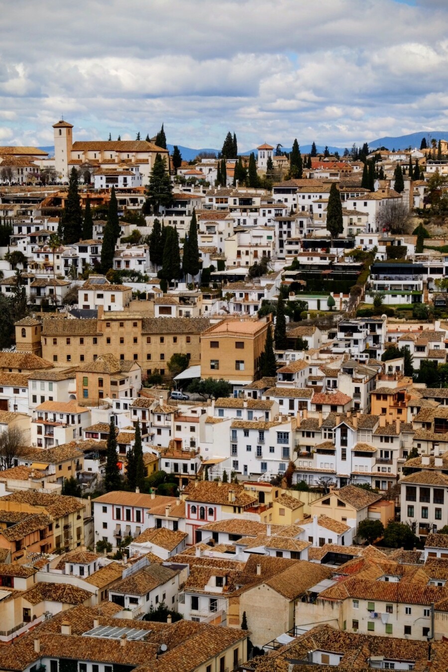 Aufsicht auf die Dachlandschaft einer Altstadt. Die Häuser stehen sehr dicht und durch die optische Verkürzung der großen Brennweite ergibt sich ein nahezu abstraktes Muster aus den unterschiedlichen Schattierungen der Fassaden und Dächer, unterbrochen durch einige dunkle Zypressen. Im oberen Viertel des Bildes endet das Muster in der entfernten Silhouette einer hügeligen Landschaft und dem wolkenverhangenen Himmel darüber.