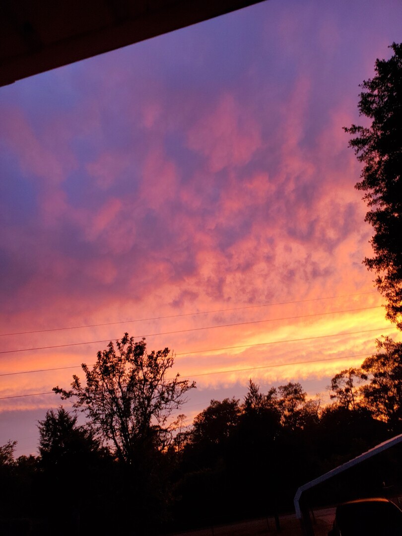 A gorgeous sky in my backyard after a rainy day! 🤩