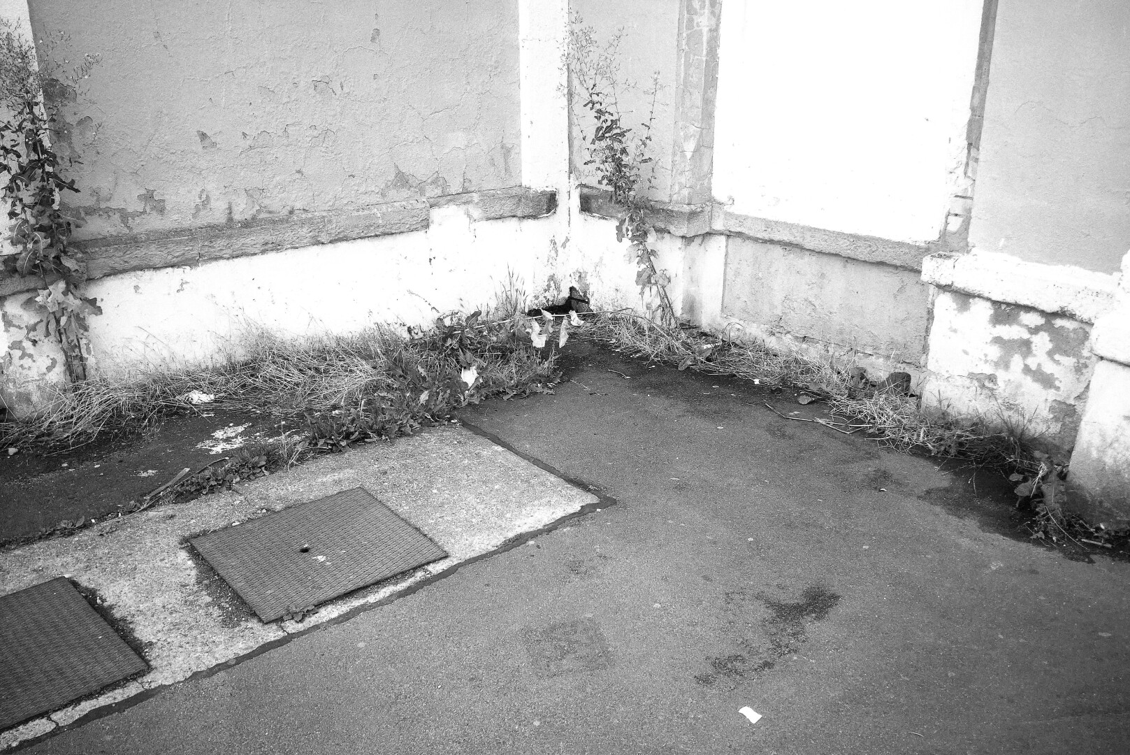 Dirty corner at the side of the train station.