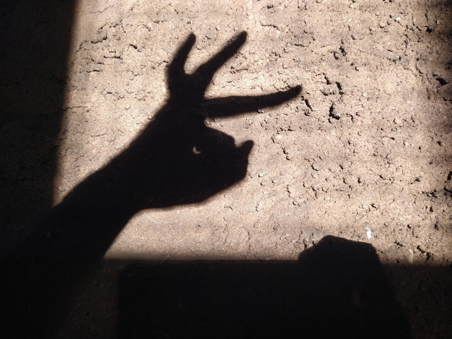 Schatten einer Hand an einer rauen Wand. Die Form erinnert an einen Tierkopf mit Geweih. An der Stelle, wo das Auge ist, fällt das Sonnenlicht durch ein mit der Hand gebildetet kleines Loch, wodurch nach dem Prinzip der Lichkamera die Sichel der durch den Mond teilweise verdeckten Sonne gespiegelt sichtbar wird. The shadow of a hand on a rough wall. The shape is reminiscent of an animal’s head with antlers. Where the eye would be, sunlight falls through a small hole formed by the hand, causing the crescent of the sun – partially obscured by the moon – to be reflected and visible, in accordance with the principle of a pinhole camera.