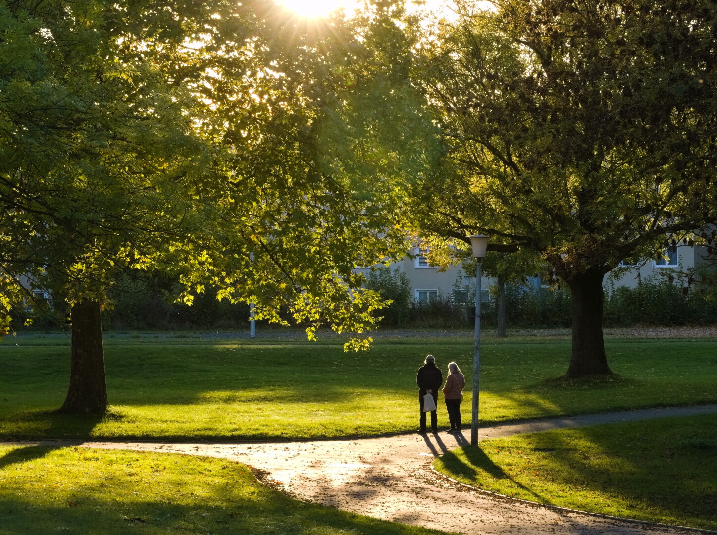 The sun is shining at couple, who is standing in between two big trees, which are framing the photograph. The sun shines a golden light at the beautiful scene, creating some dark shadows. 

Die Sonne scheint auf ein Pärchen, das zwischen zwei großen Bäumen steht, die das Bild einrahmen. Die Sonne taucht die Szene in ein goldenes Licht und erzeugt einige dunkle Schatten.