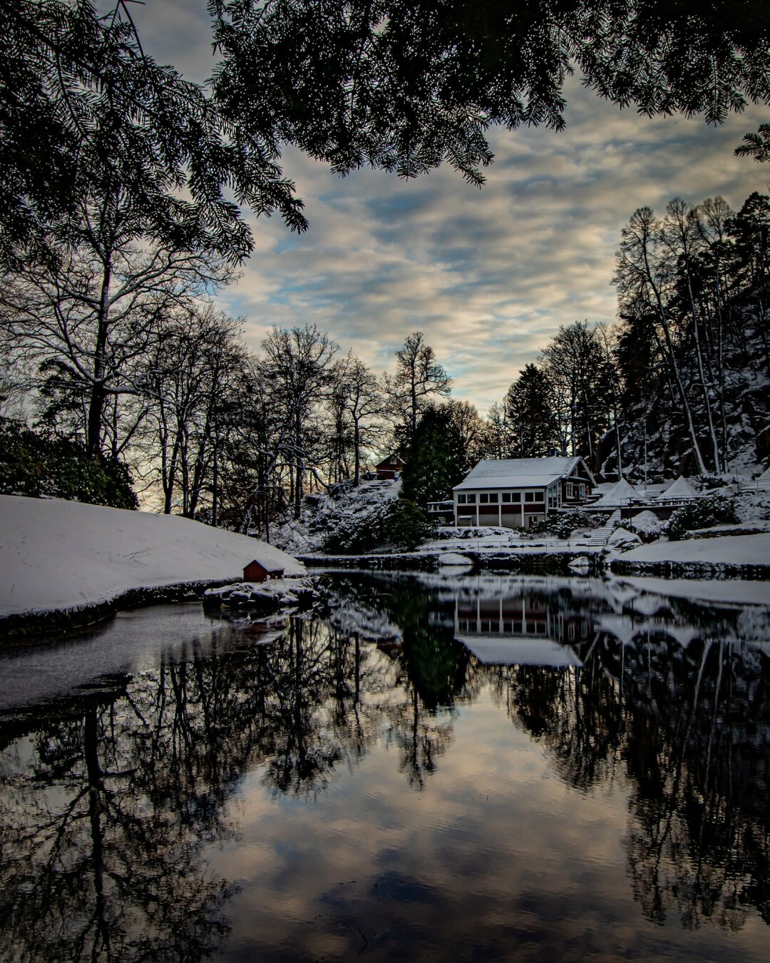 This is the scenery I get while walking around in my neighborhood. Me and my Miniature Schnauzer Loke enjoys these places a lot, and the added bonus of living in norway, is 4 distinct seasons.